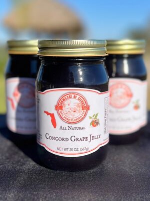 Concord Grape Jelly